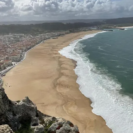 Peixinho Magnifique *